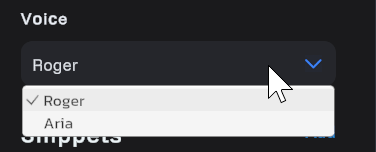 Change Voice Placeholder